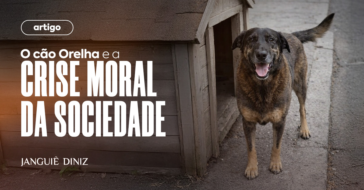 O cão Orelha e a crise moral da sociedade