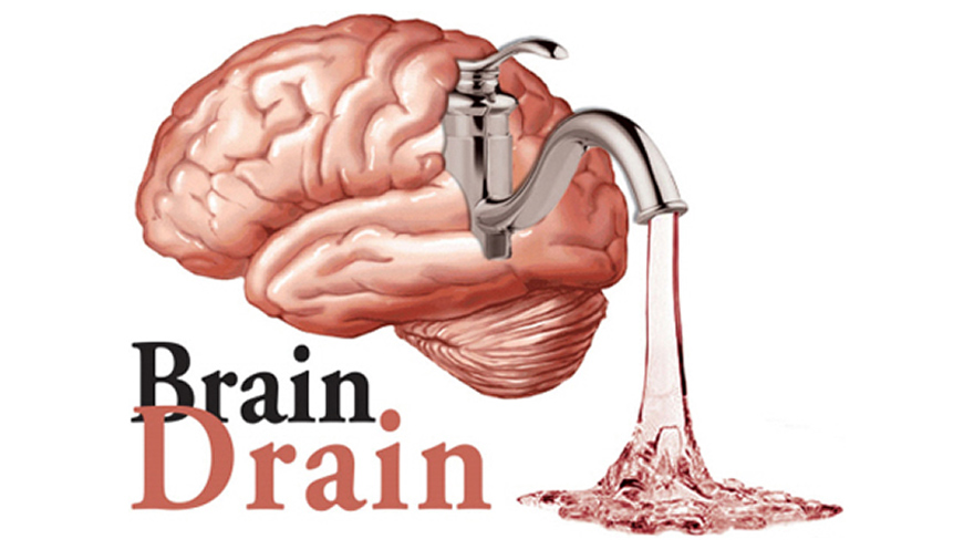 Brain drain no Brasil