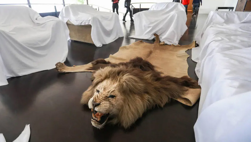 Empresário do ramo educacional vai transformar casa de Edemar Cid Ferreira em escola