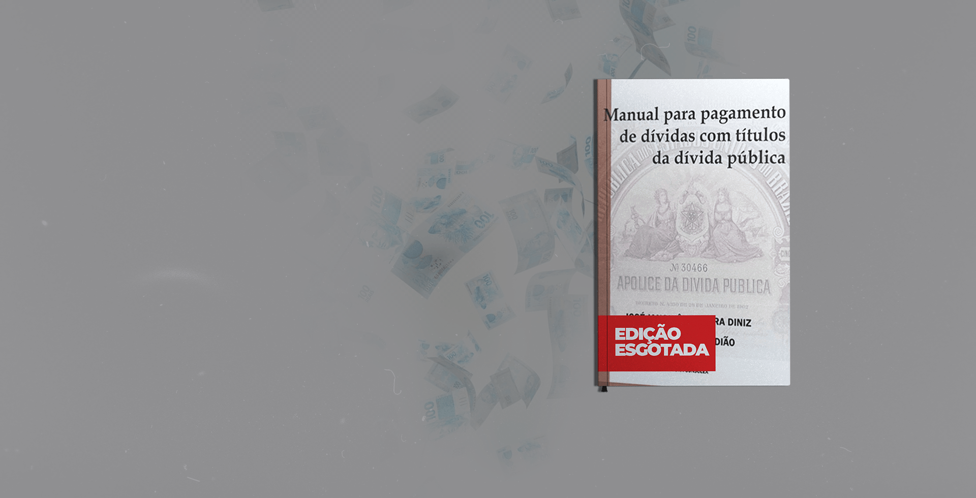 Manual para Pagamento de D&iacute;vidas com T&iacute;tulos da D&iacute;vida P&uacute;blica