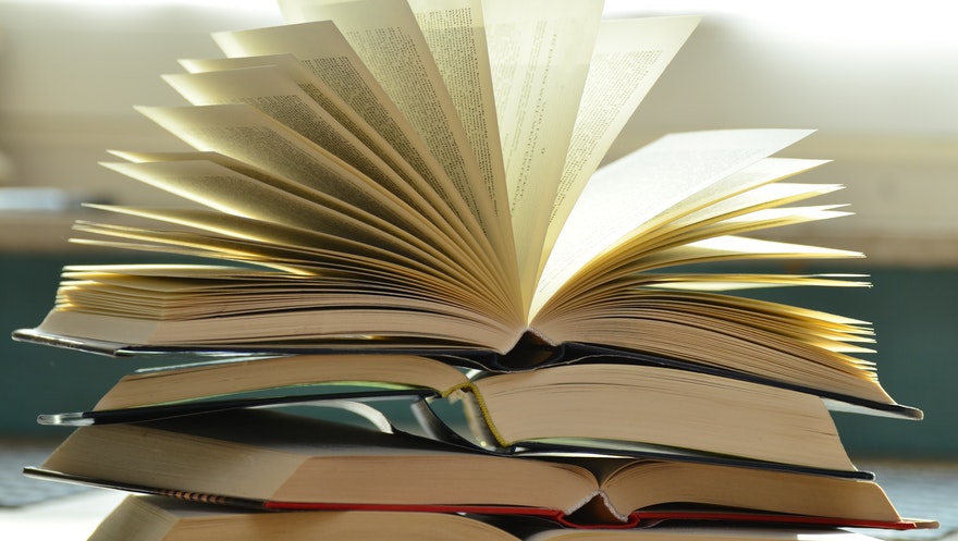 Falta de Educação gera Corrupção é o título do novo livro de Janguiê Diniz