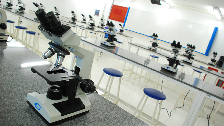 Grupo Ser Educacional conta com mais de 250 cursos em pós-graduação