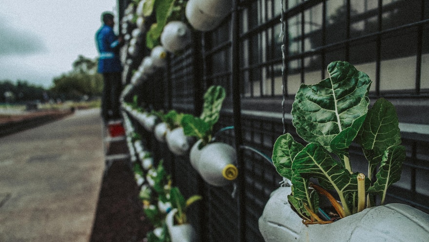Sustentabilidade muito além das políticas ecologicamente corretas