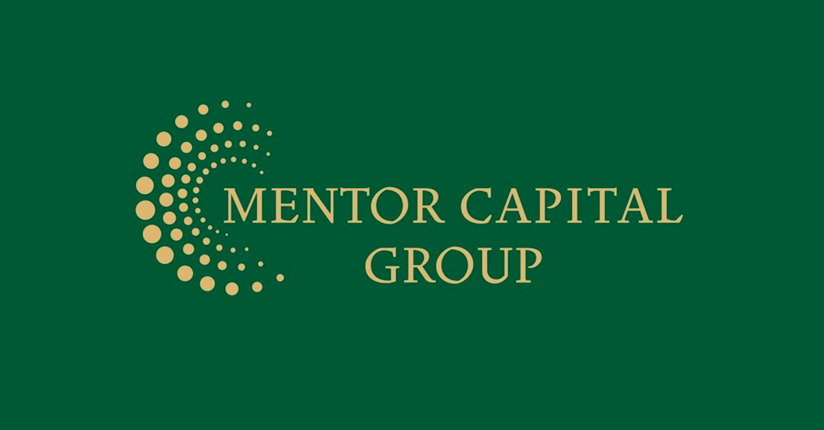 A Institucionalização da Mentoria Empresarial